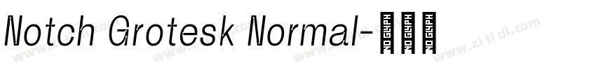 Notch Grotesk Normal字体转换
